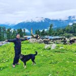 7 Days Wellness Retreat 6 healing-retreat