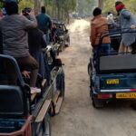 7 Days Wellness Retreat 5 healing-retreat