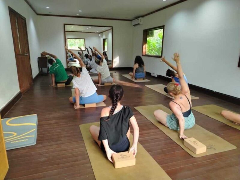 yoga-teacher-training